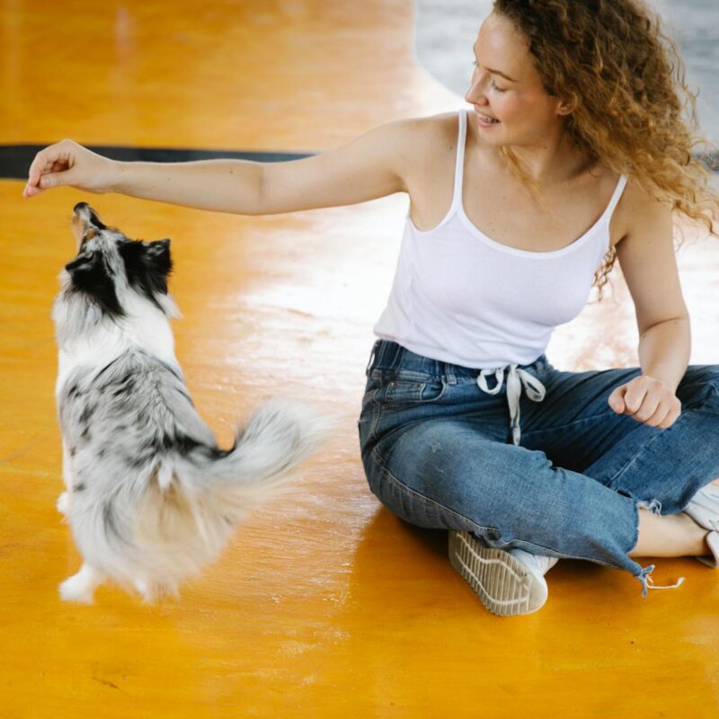 Real Price of Having a Pet